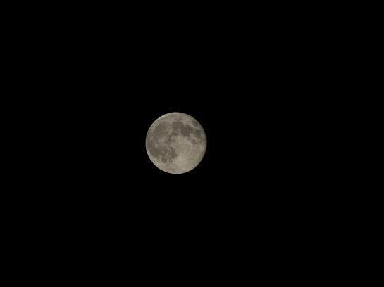 Merrie's Moon (Photo by Merrie)
